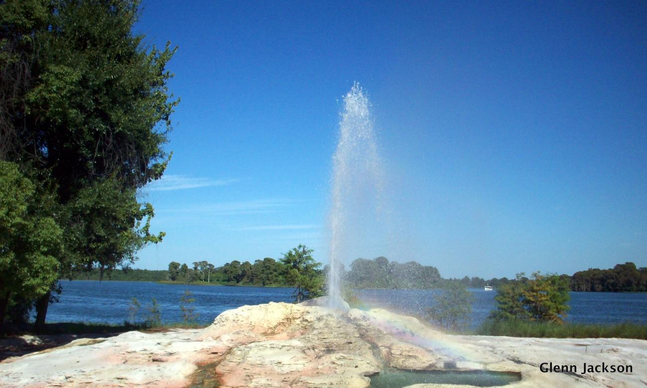 Wilderness Lodge Geyser